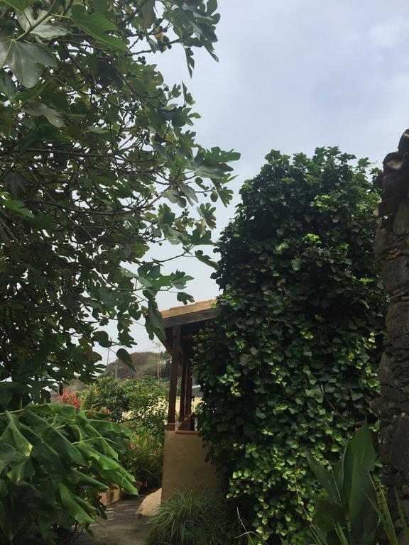 Casa Rural Las Rosas Agulo Exterior foto