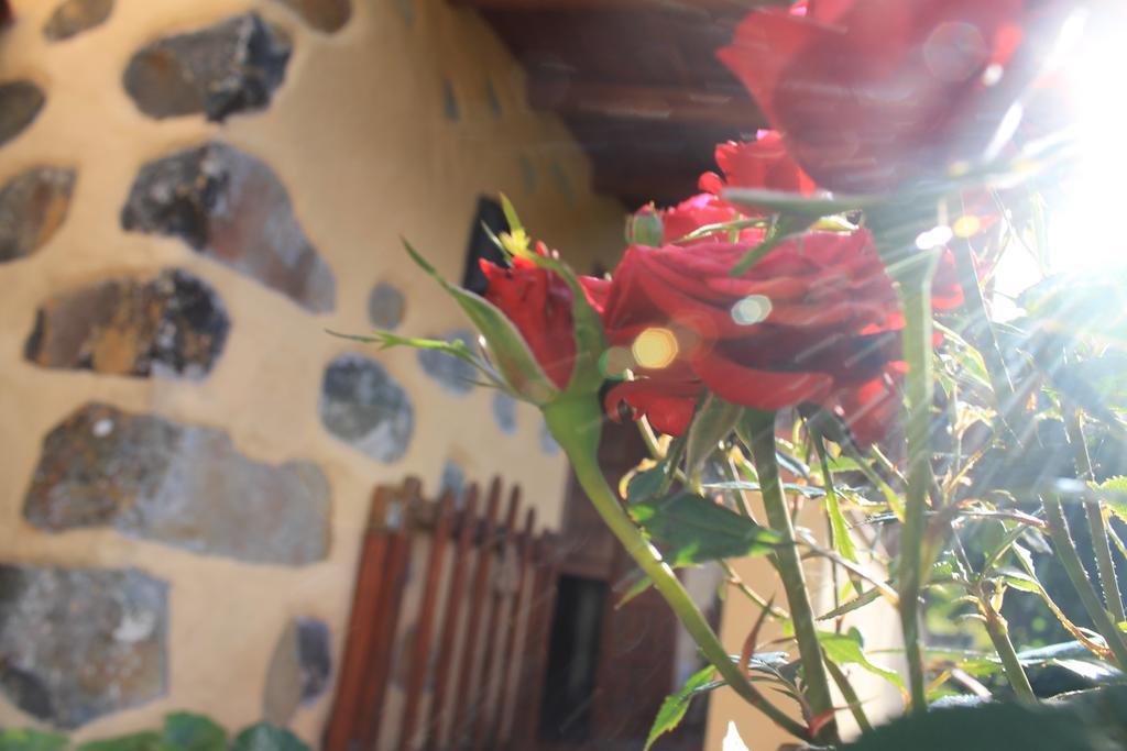Casa Rural Las Rosas Agulo Exterior foto